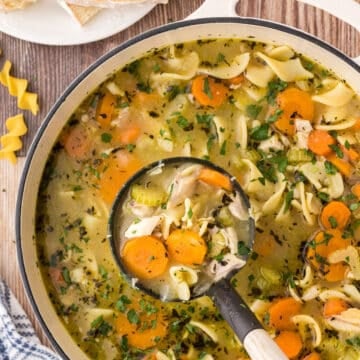 A ladle with some chicken noodle soup in a big pot.