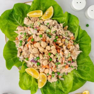 An overhead image of a salad platter with chicken salad.