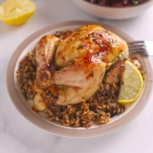 A small chicken on a plate of wild rice.