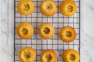 cupcakes cored and ready to be filled.
