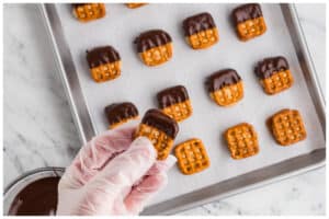 A hand holding one peanut butter prestzel bite dipped in chocolate.