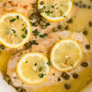 A zoom in image on chicken piccata in a white slow cooker.