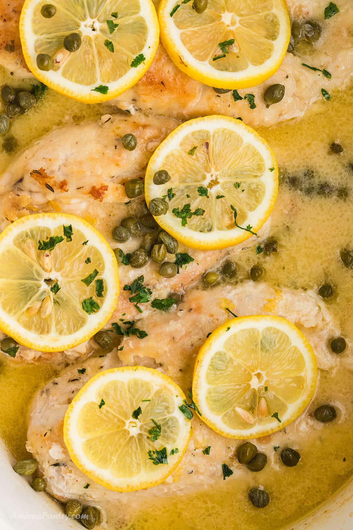 An overhead image for chicken piccata in a slow cooker with lemon rinds.