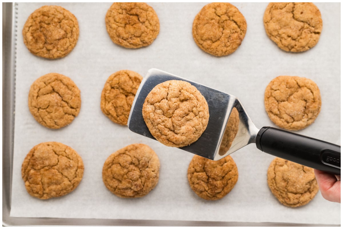 A cookies spatula with a baked snickerdoodle cookie.