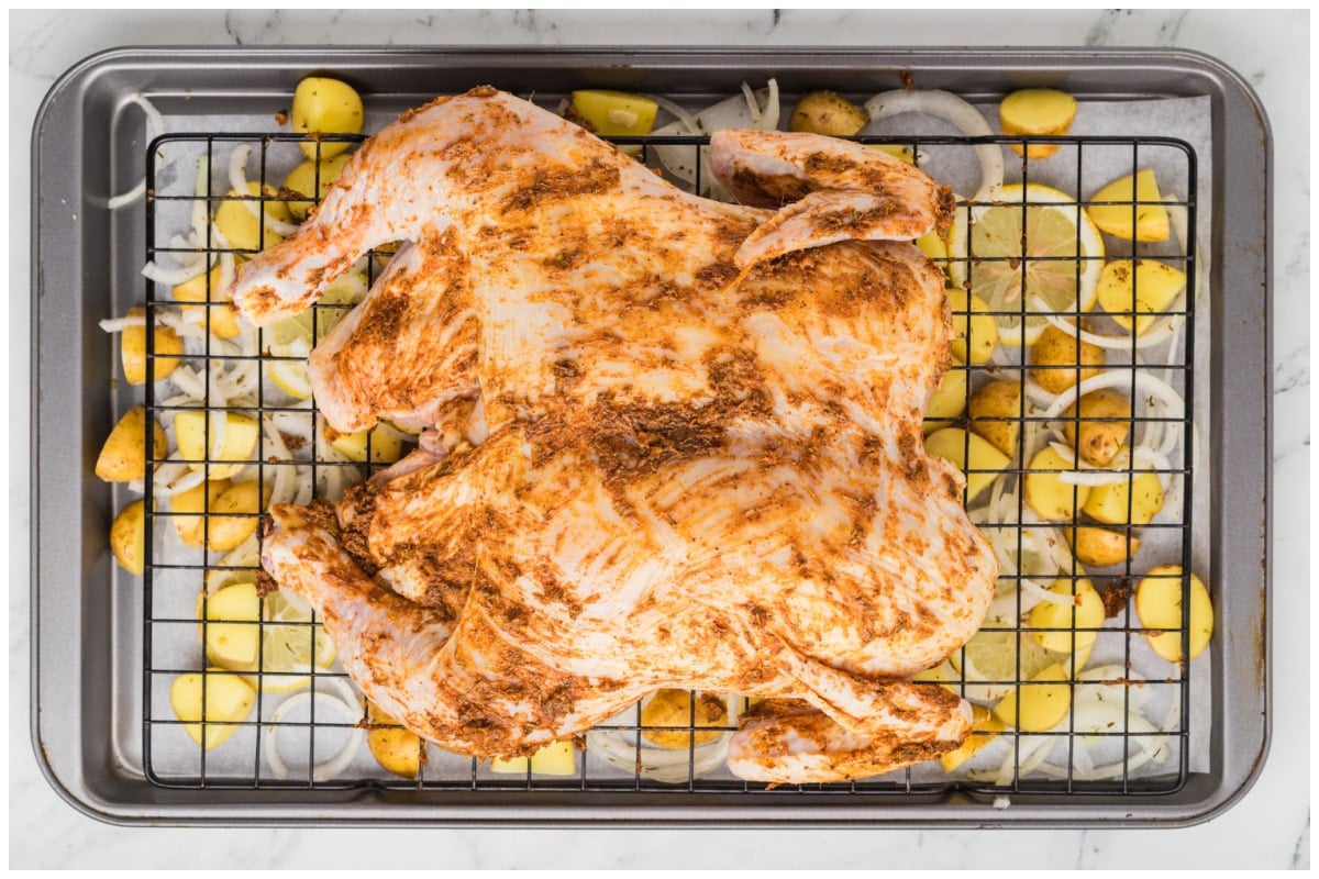 A cajun rubbed chicken on a sheet pan.