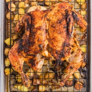 A roasted spatchcock chicken in a sheet pas with lemon and potatoes.