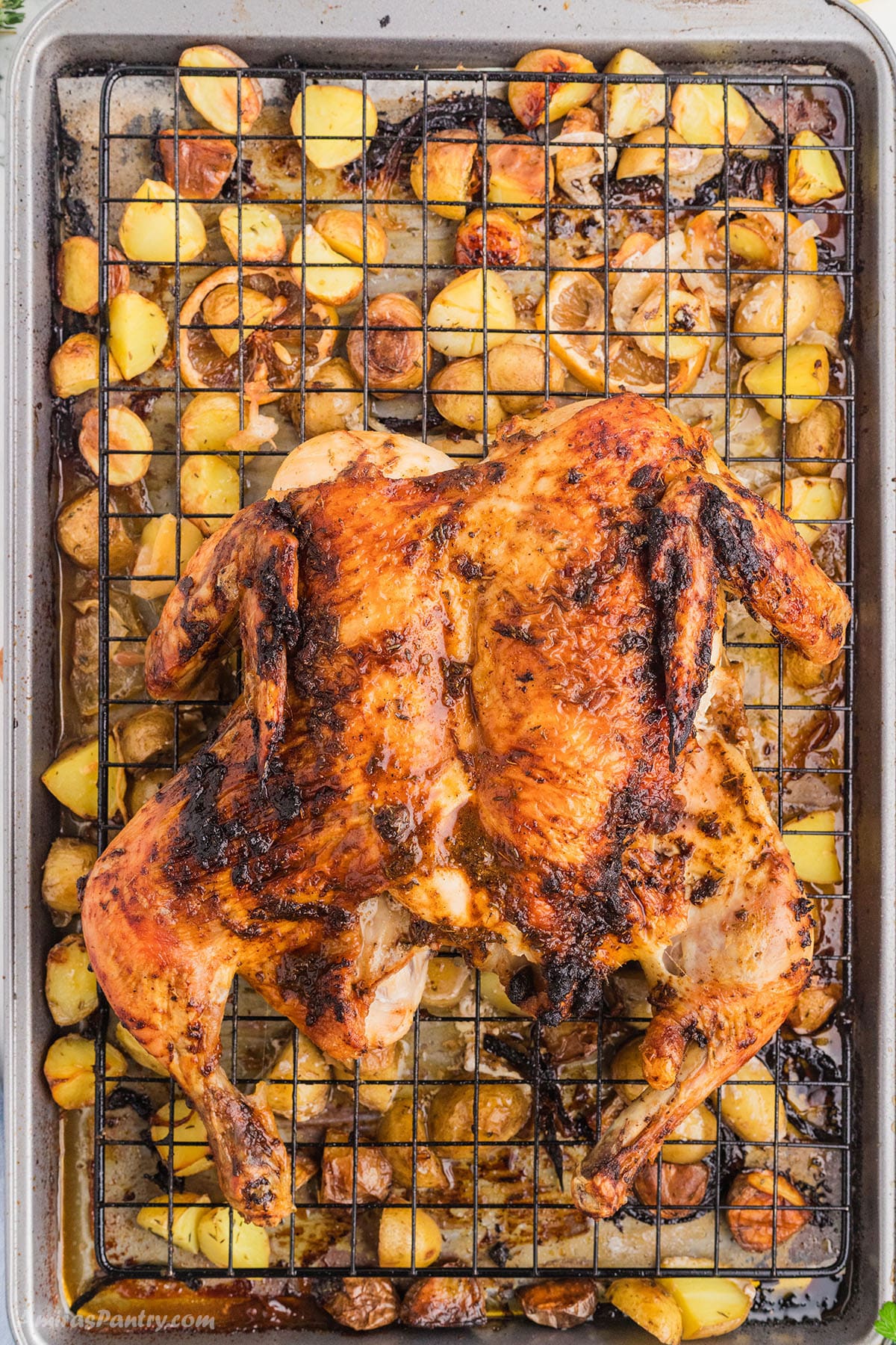 A cajun roasted spatchcock chicken on a roasting pan. 