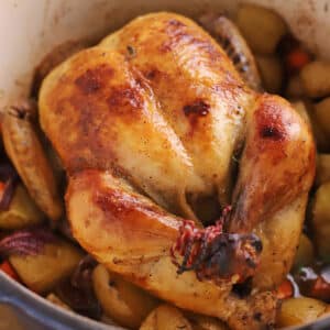 A roast chicken with vegetables on a large pot.