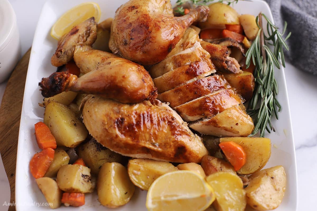 Cut up roast chicken on a serving plate with potatoes and vegetables.