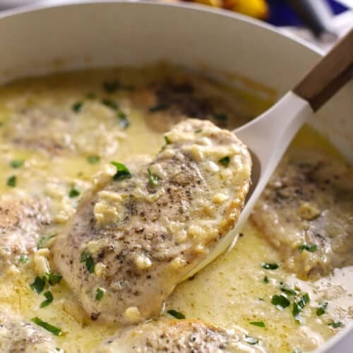 Close up of creamy Dijon chicken in a skillet, with a tender chicken breast lifted on a spoon and topped with fresh parsley.