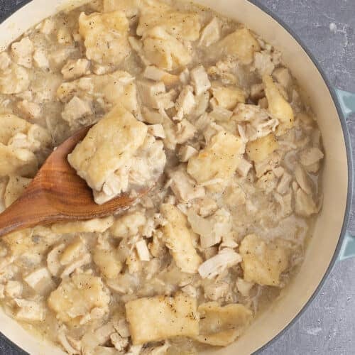 A spoon with a serving of chicken and dumplings over a large pot.