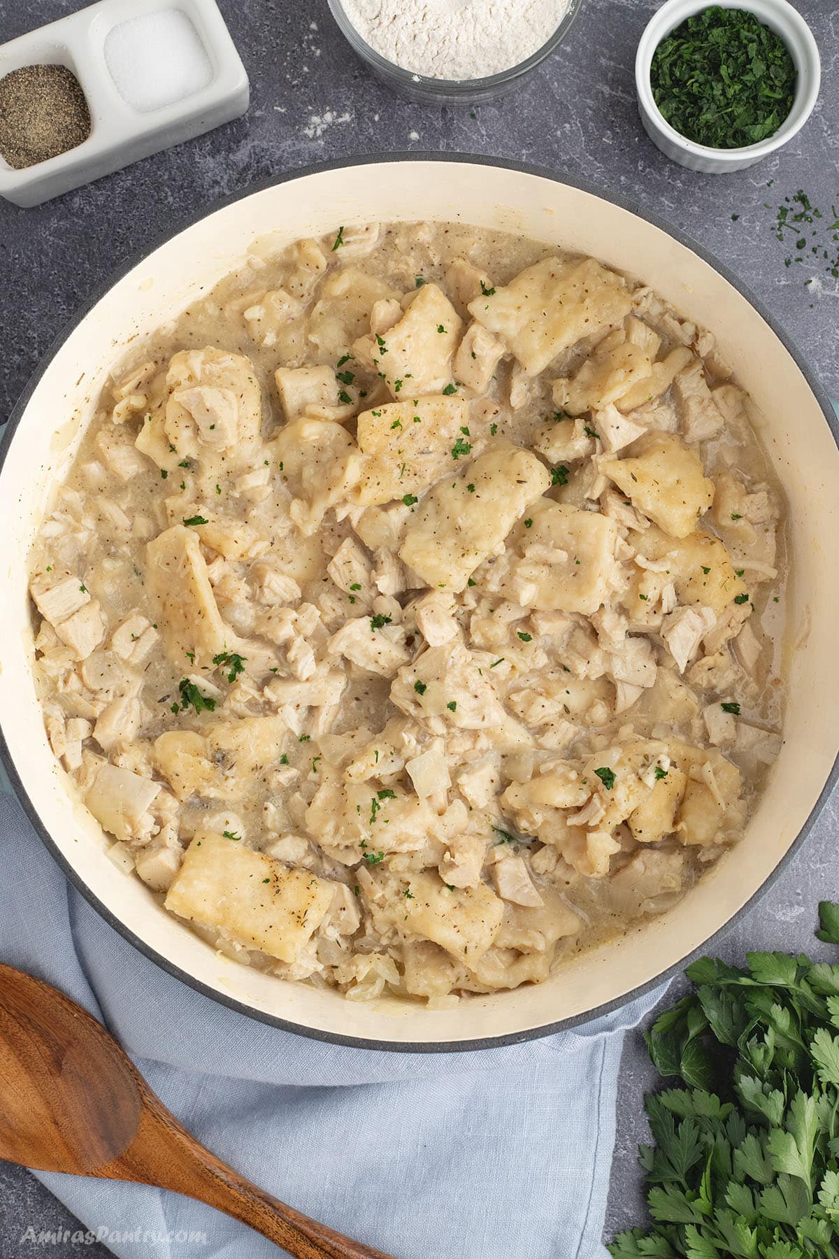 An overhead image of a large pot with chicken and dumplings.