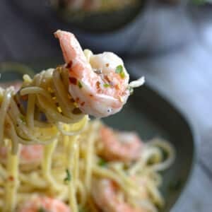 Shrimp and pasta rolled around a fork for the shrimp scampi recipe.