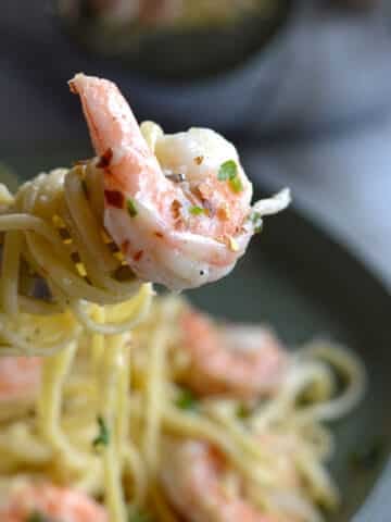 Shrimp and pasta rolled around a fork for the shrimp scampi recipe.