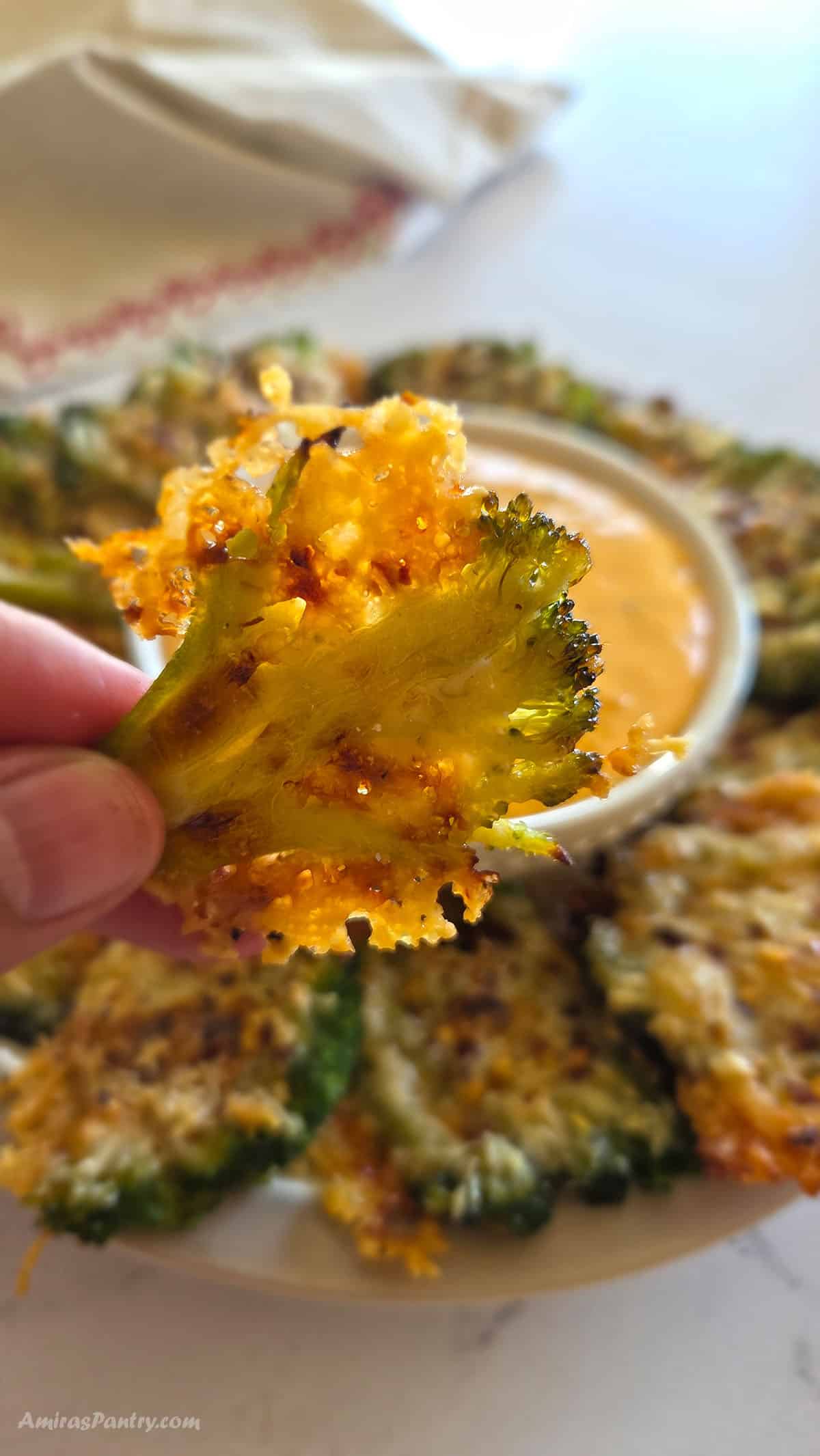 A hand holding one smashed broccoli with a lacy parmesan crispy crust.and bright green color in the center.