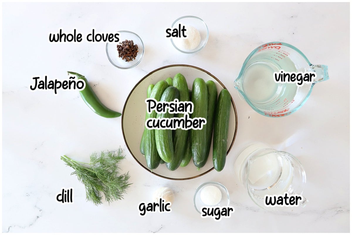 Flat lay of quick pickled cucumber ingredients on a white marble surface, with labels identifying each item