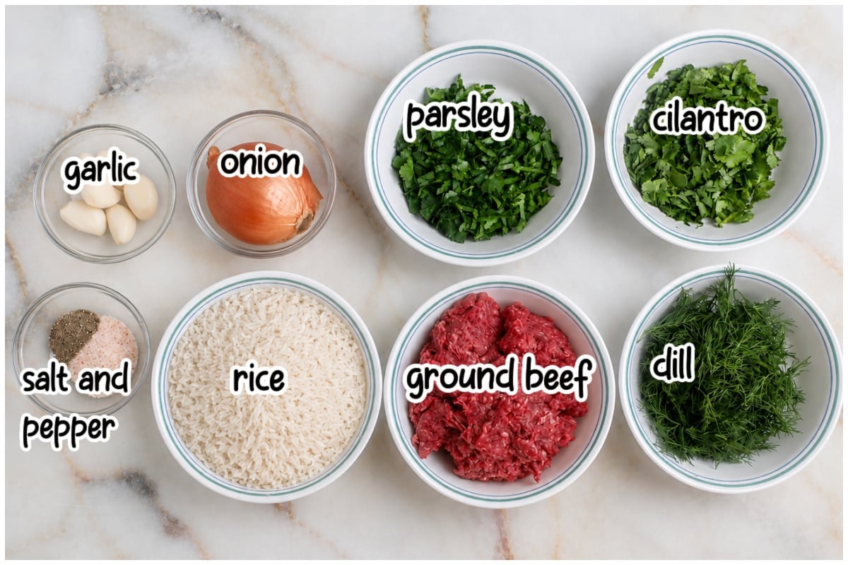 Overhead shot of labeled ingredient bowls for rice meatballs on a marble counter.