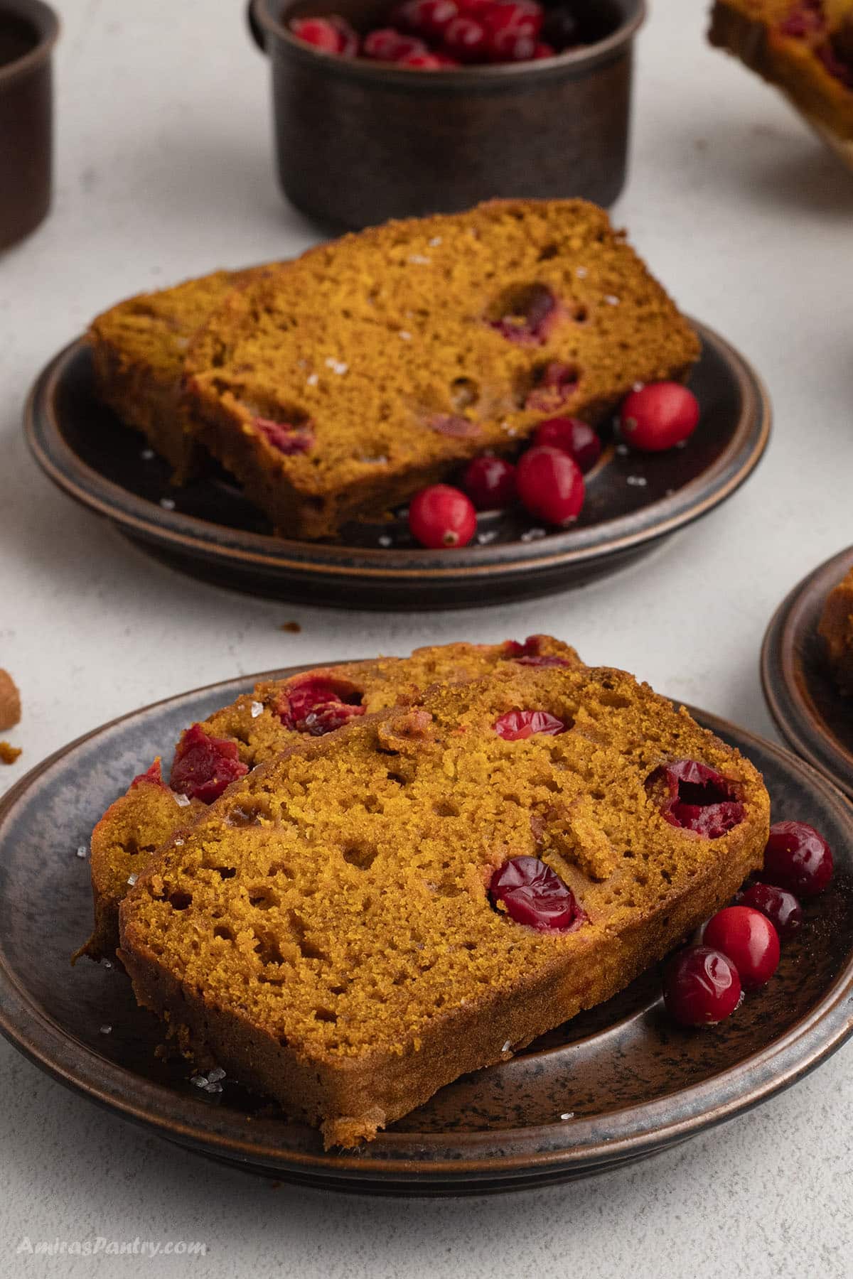 Slices of pumpkin cranberry bread on rustic plates, garnished with fresh cranberries.